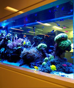 Jual Kaca Aquarium Berkualitas Tinggi